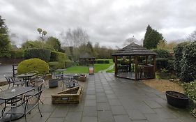 The Golden Cup - Yoxall